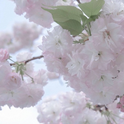 兽设原创改稿实用思路FurryQQ群